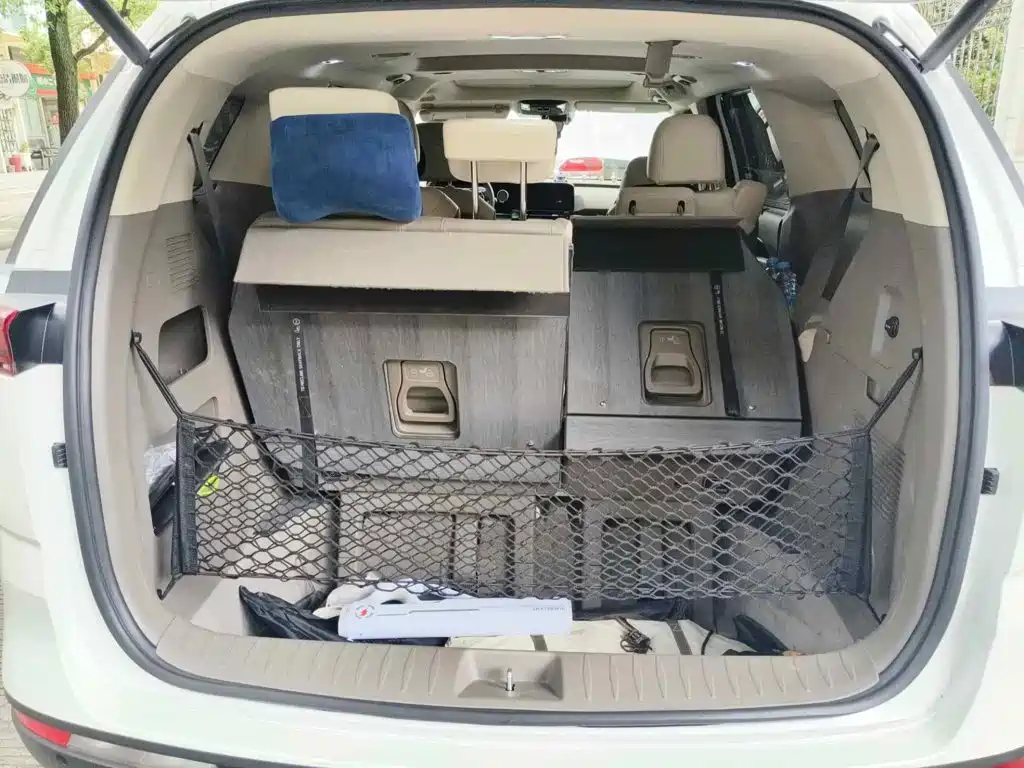 Kia Carnival 2023 2021 2.0T Luxury Edition