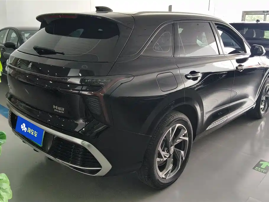 Hongqi HS3 PHEV 2024 PHEV 115km Power Edition фото 3