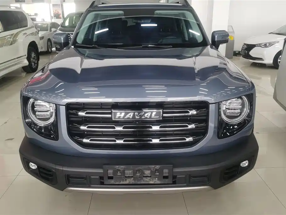 Haval Big Dog 2021 1.5T DCT 2WD Labrador Edition фото 2