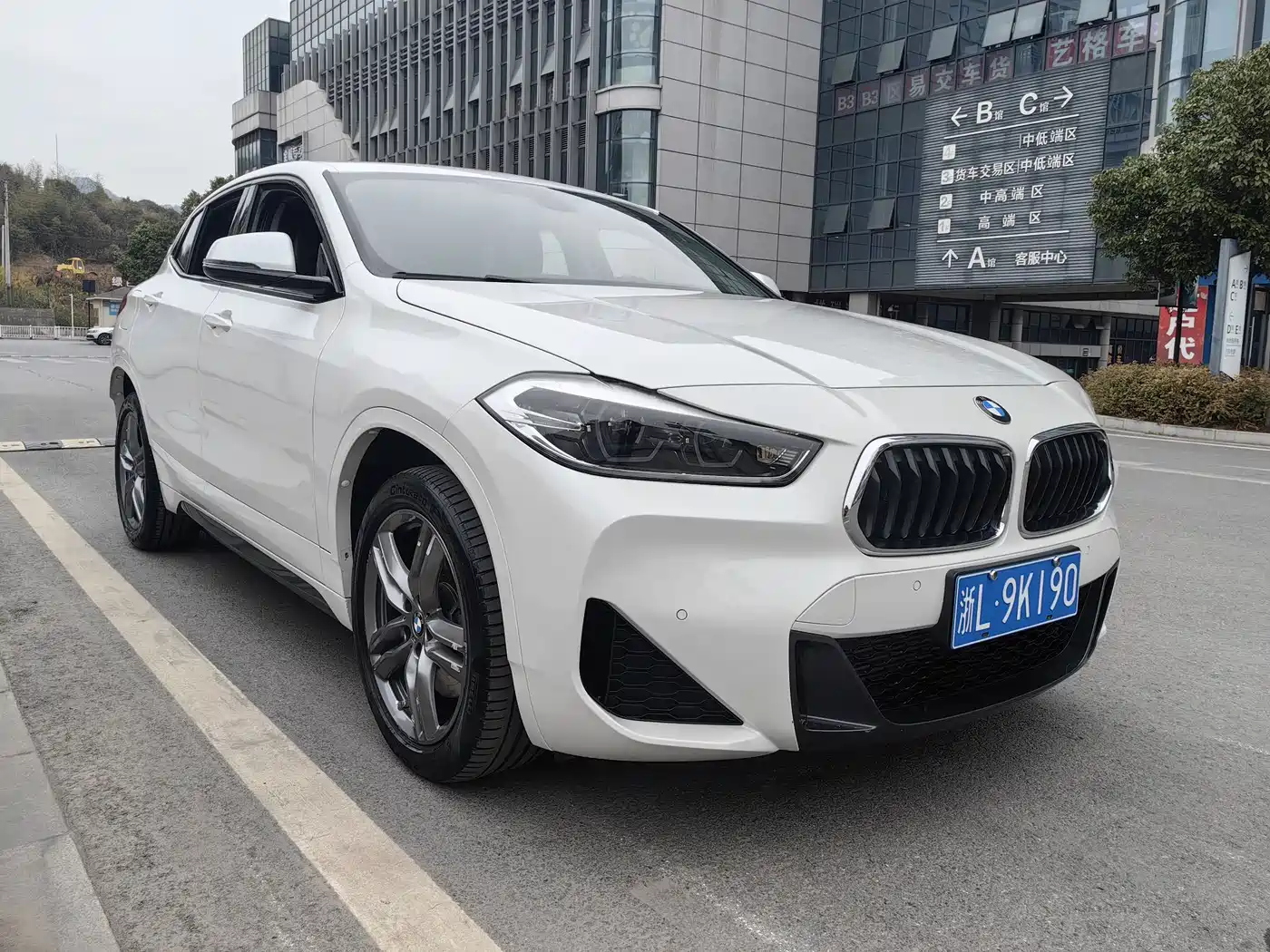 BMW X2