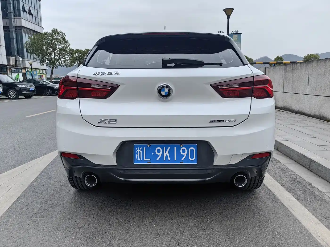 BMW X2