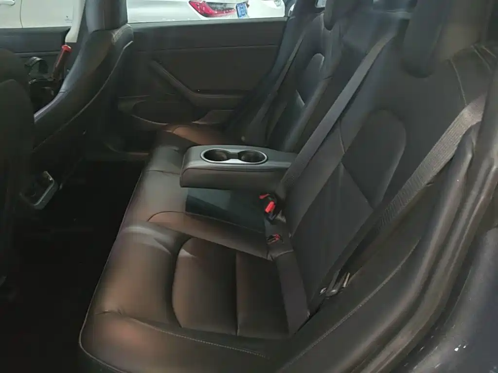 Tesla Model 3 2020 2019 Standard Range Rear-Wheel Drive Upgrade