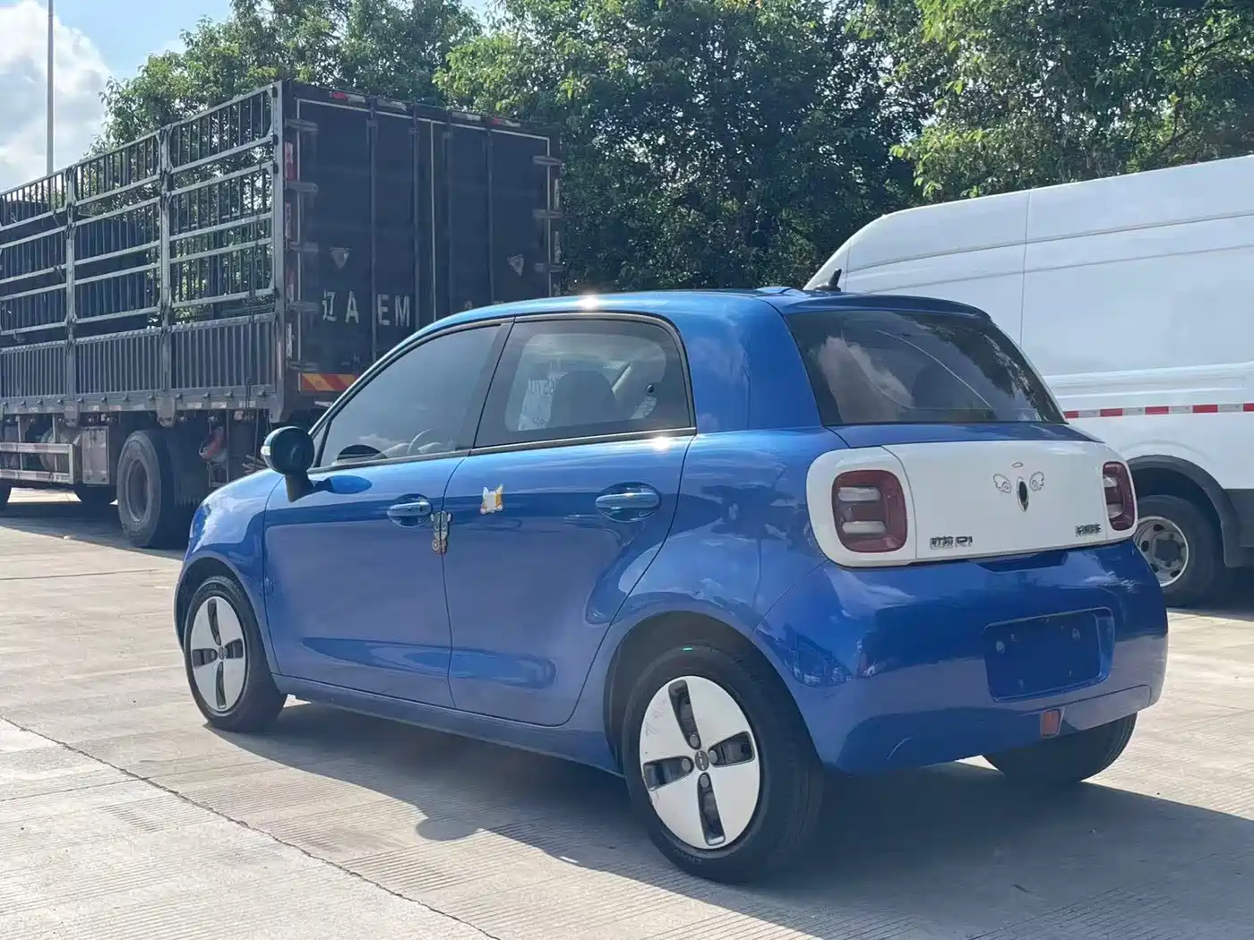 Ora Black Cat 2019 2019 310km Fun Edition