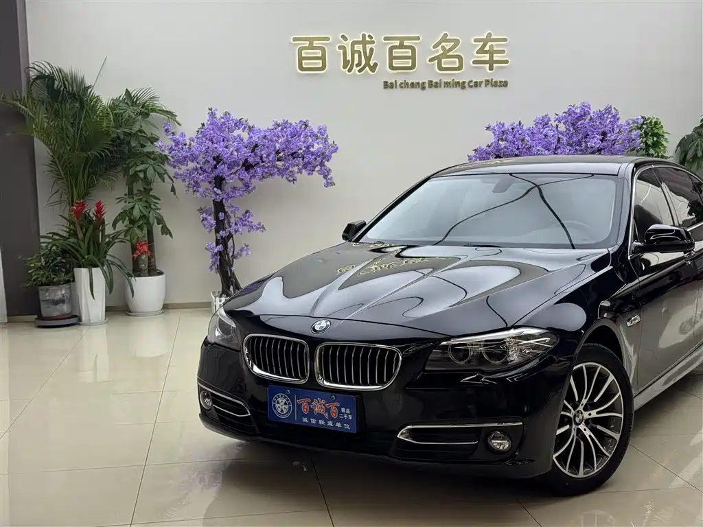 BMW 5 Series 2014 525Li Luxury Design Package фото 3