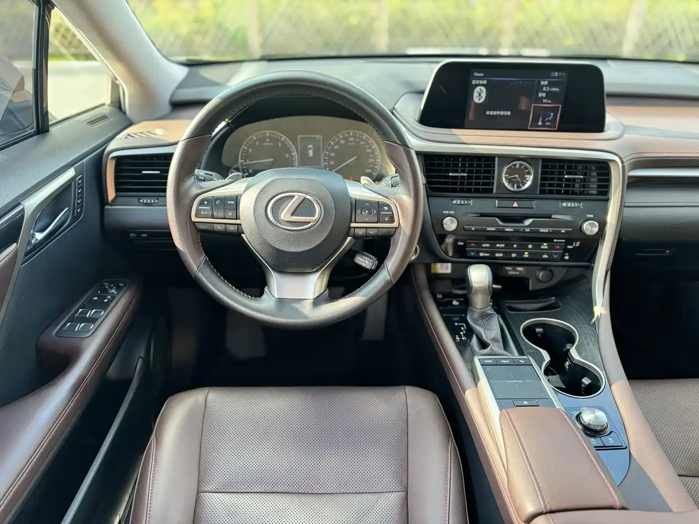 LEXUS RX