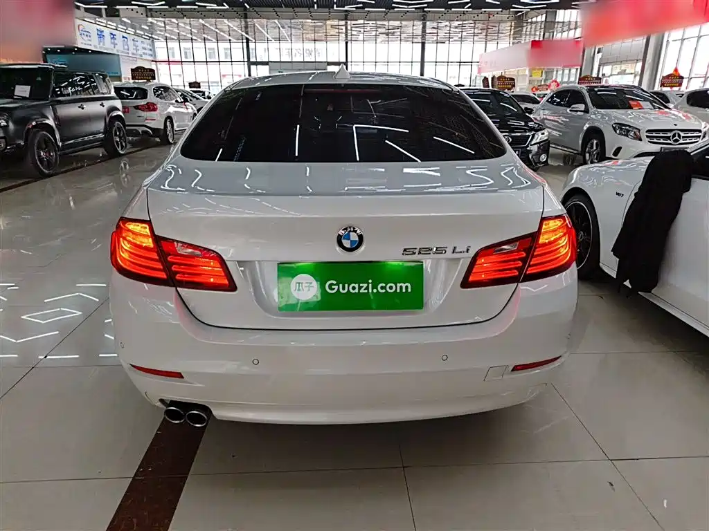 BMW 5 Series 2014 525Li Leading фото 5
