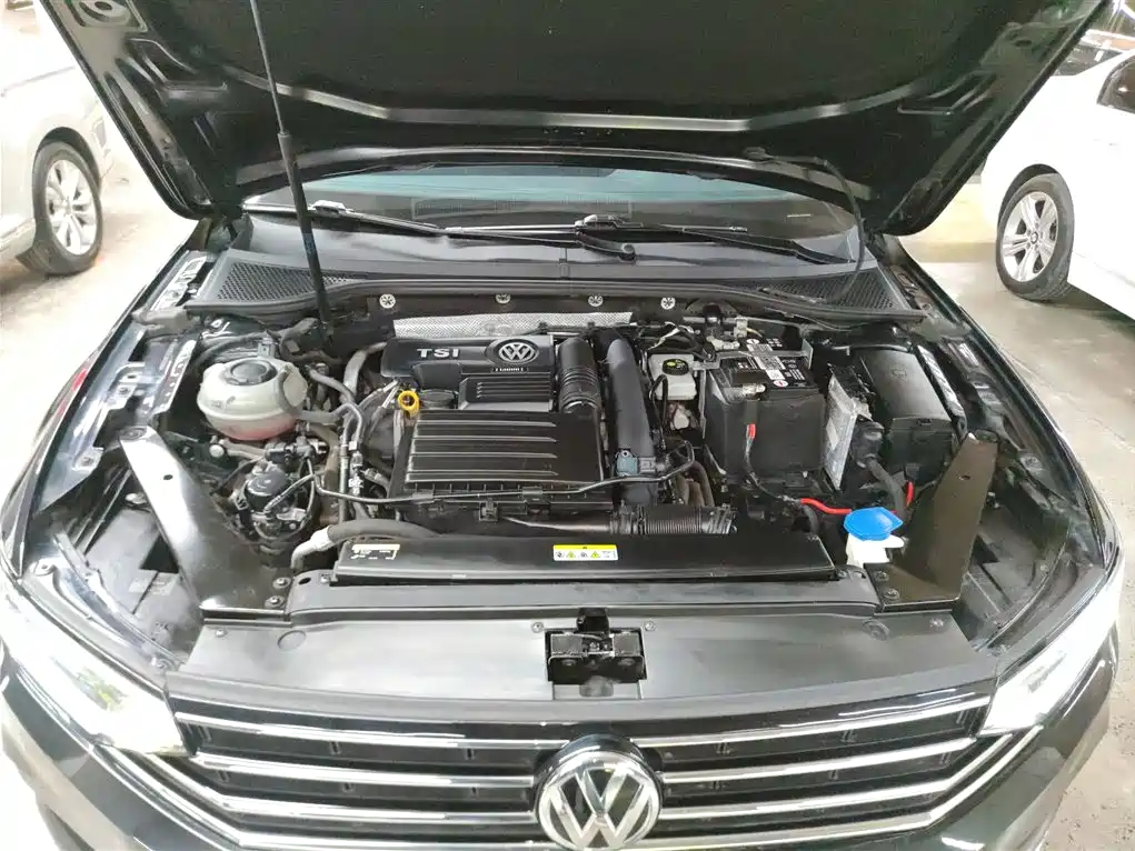 Volkswagen Magotan 2020 280TSI DSG Comfort фото 10