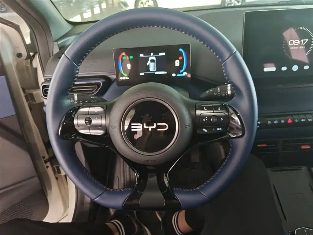 BYD Seagull 2024 Glory Edition 305km Freedom Edition фото 11