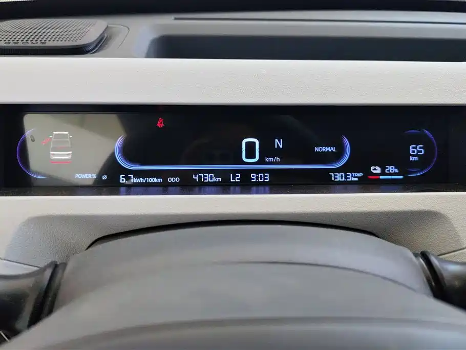 Geely Galaxy Panda 2024 Panda mini 200km Endurance Bear фото 14