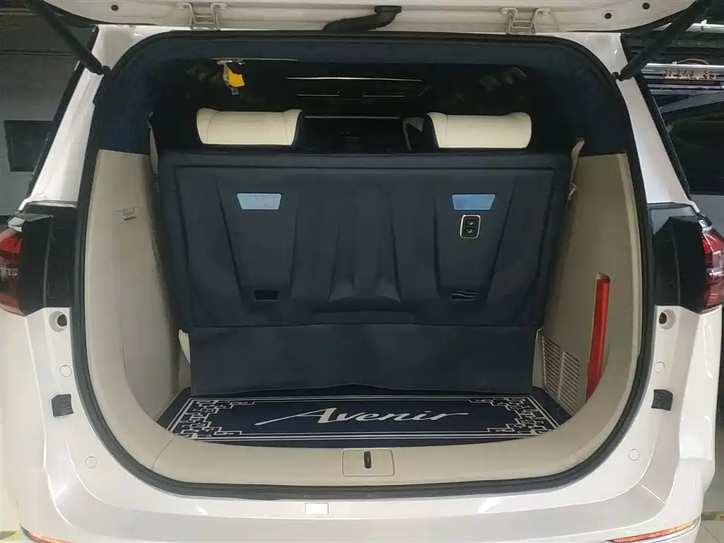 Buick GL8 2021 ES Landlord 653T Comfort фото 18