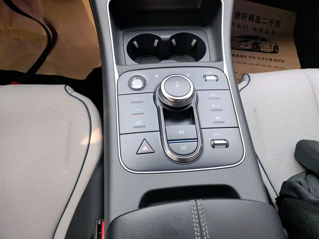 BYD Destroyer 05 2023 Champion Edition DM-i 55KM Luxury фото 14