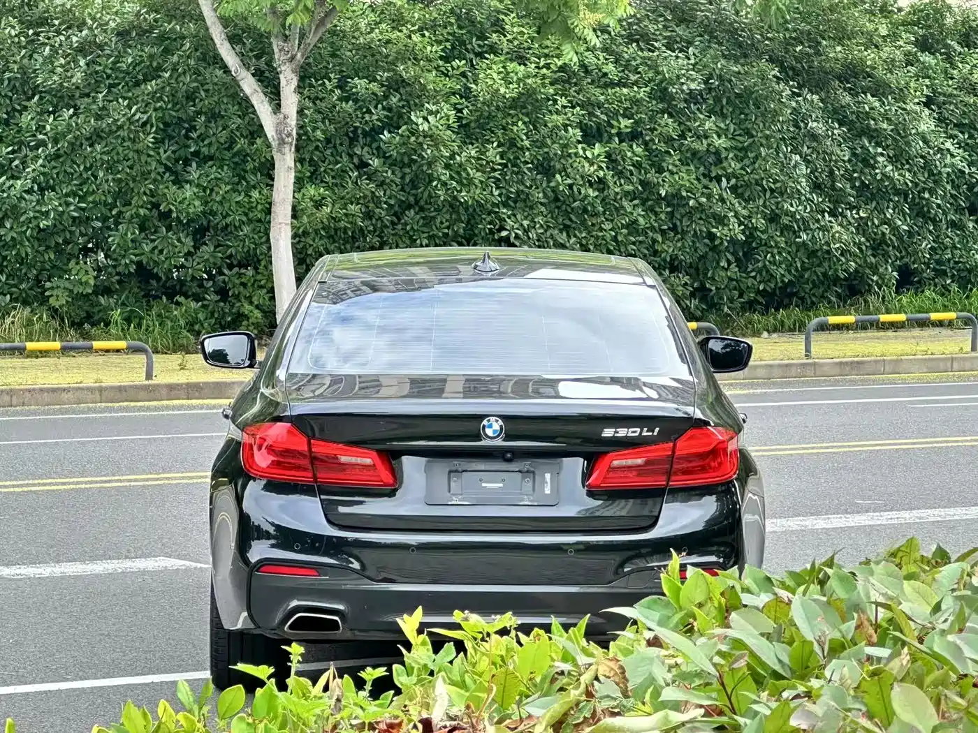 BMW 5 Series 2018 530Li Leading M Sport Package фото 8