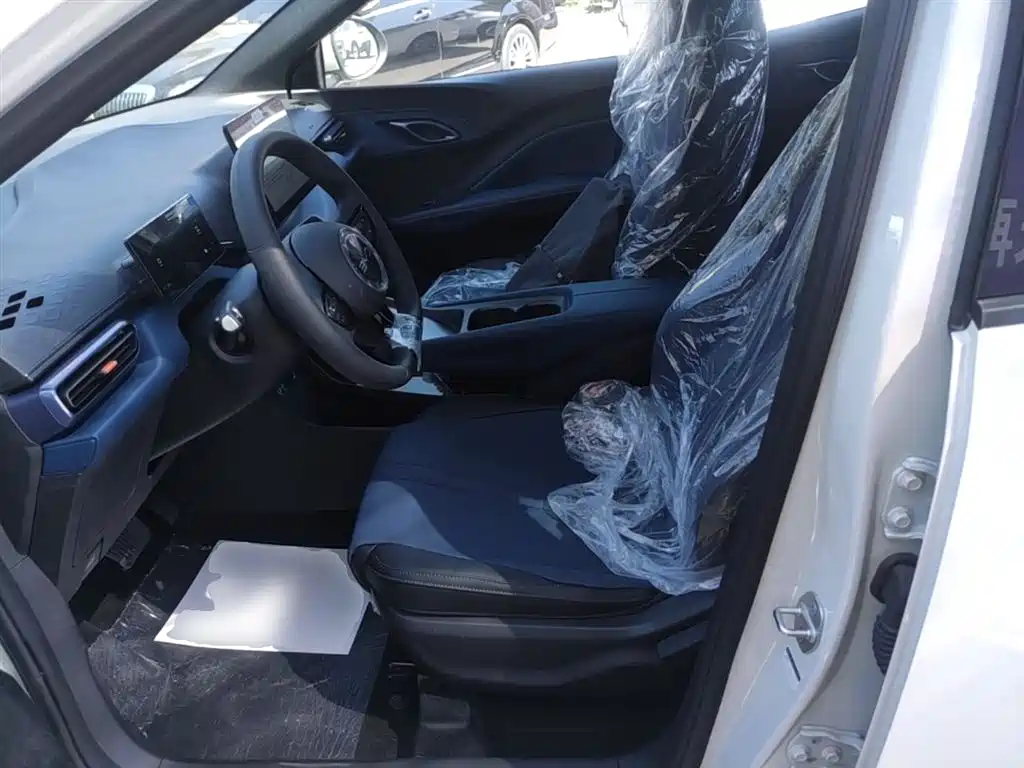 BYD Seagull 2025 Smart Drive Edition 305km Vitality Version фото 15