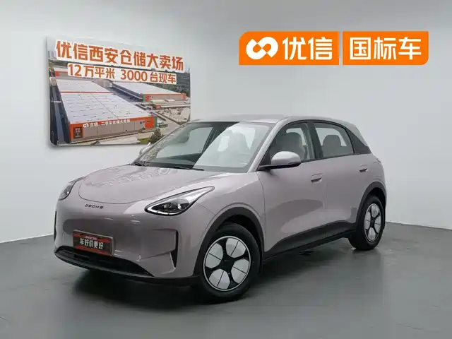  Geely Galaxy Starry Wish 2025 310km Youth Edition