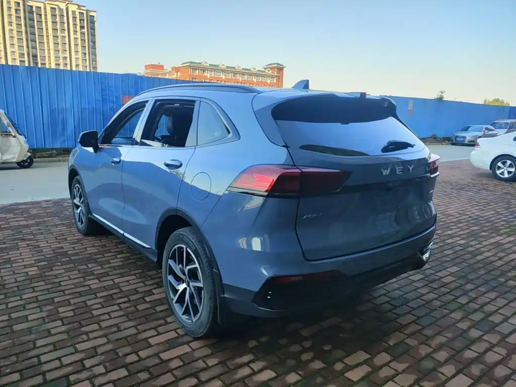 WEY Latte DHT-PHEV 2023 2022 1.5T 2WD Extra Large Cup