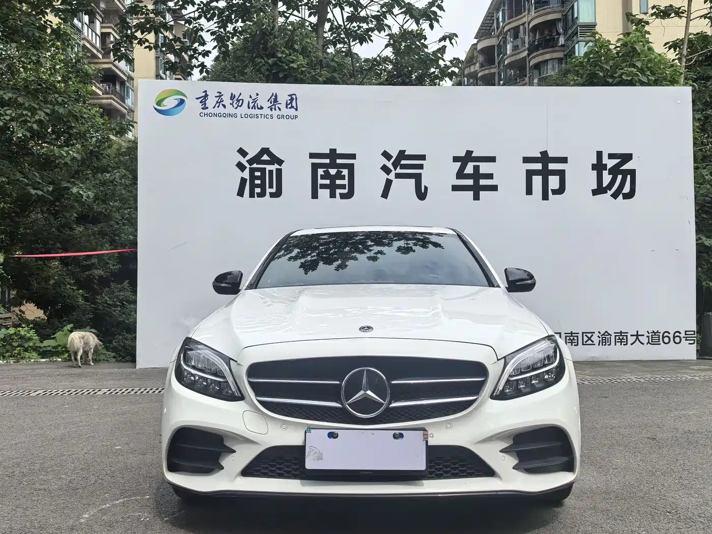 Mercedes-Benz C-Class 2019 C 260 Sport фото 2
