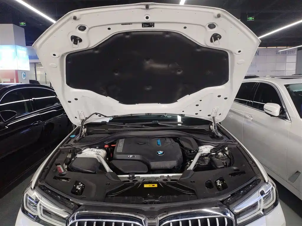 BMW 5 SERIES NEW ENERGY