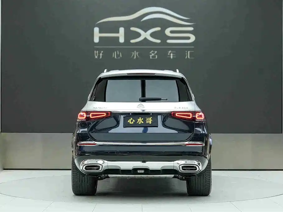 Mercedes-Benz Maybach GLS 2021 GLS 480 4MATIC фото 5