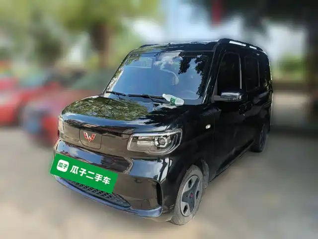  Wuling Motors Wuling Zhiguang NEV 2025 Model Comfort