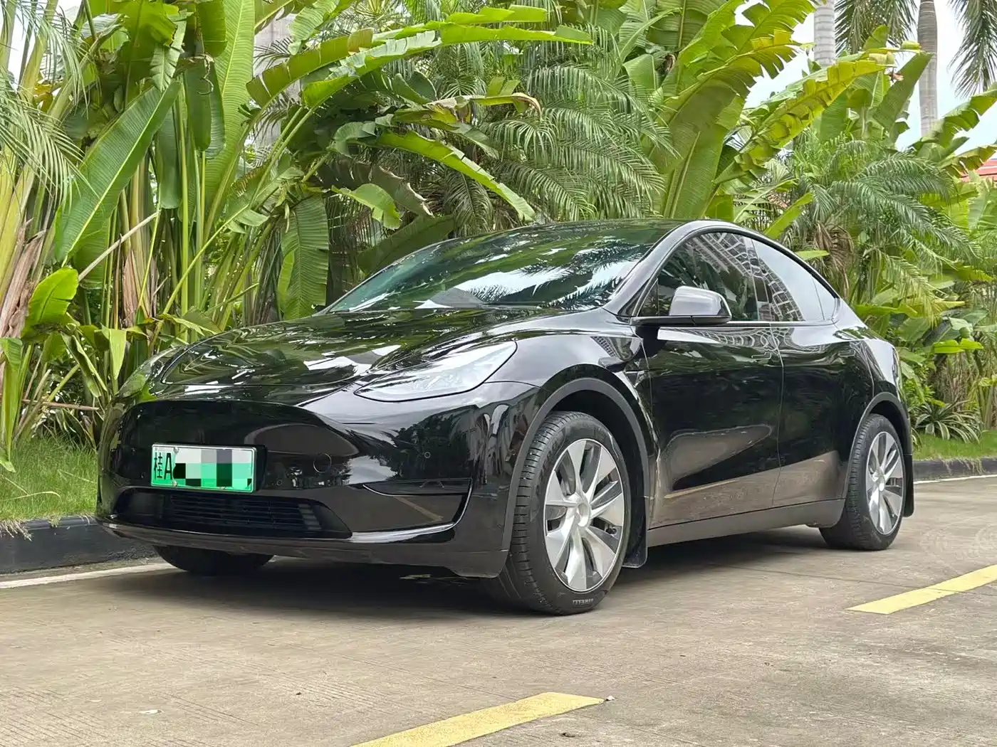 Tesla Model Y 2022 Rear-Wheel Drive Version