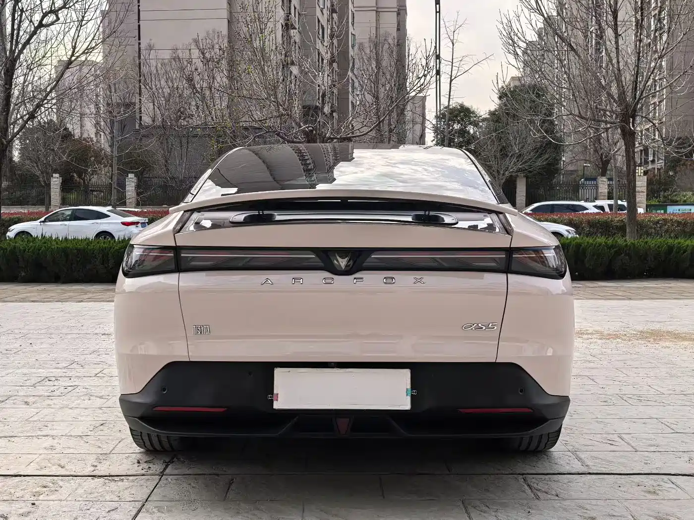 ARCFOX EXTREME FOX POLAR FOX ALPHA S5