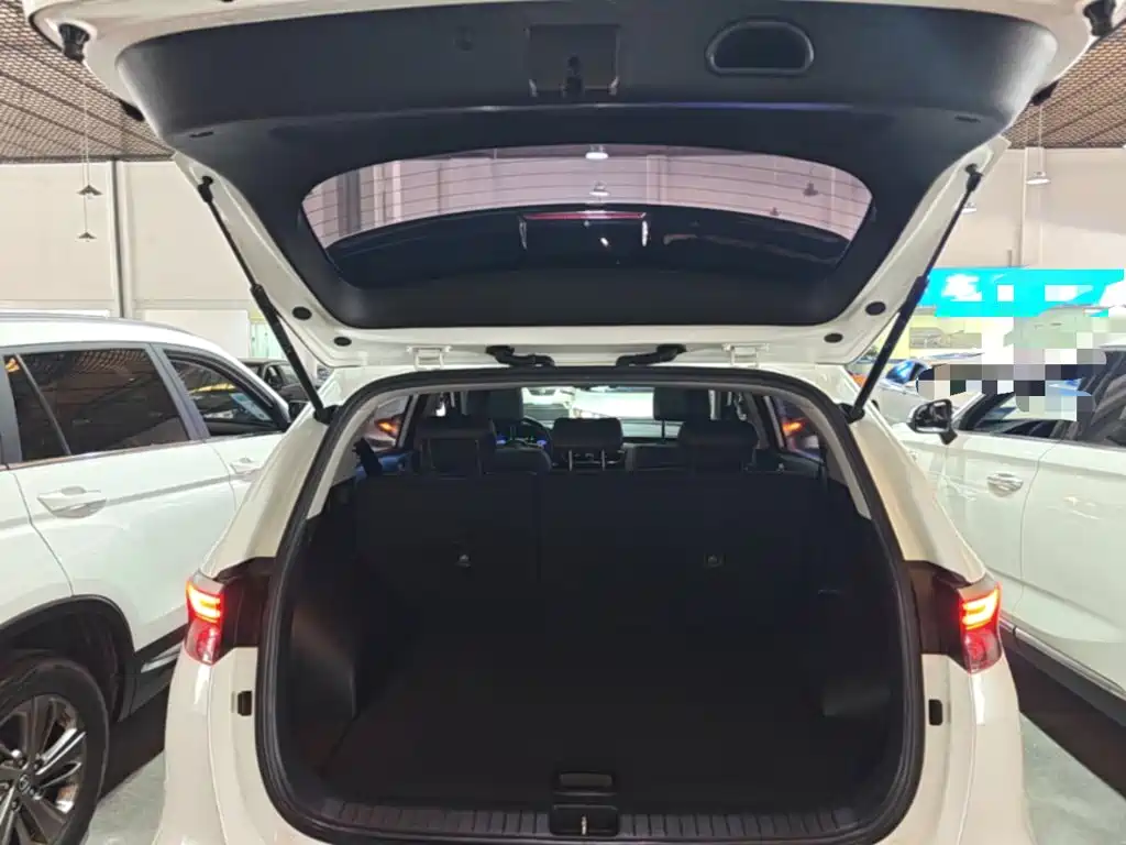 Kia KX5 2021 2019 1.6T Automatic 2WD Luxury Edition