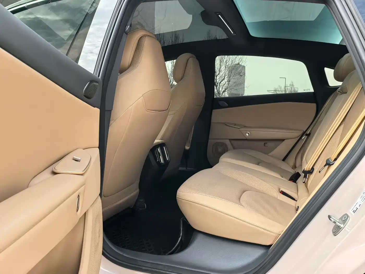 ARCFOX EXTREME FOX POLAR FOX ALPHA S5