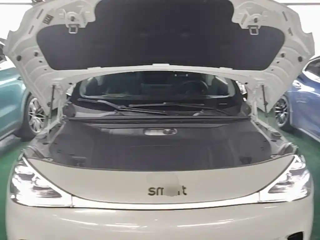Фото 20 - smart Elf #1