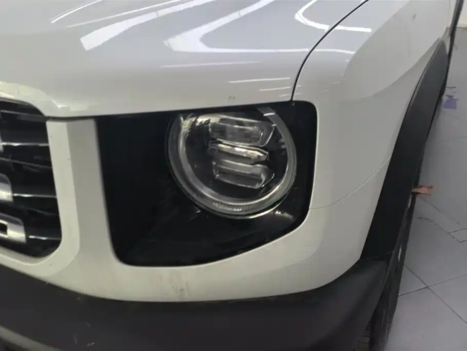 Haval Big Dog 2021 1.5T DCT 2WD Labrador Edition фото 5