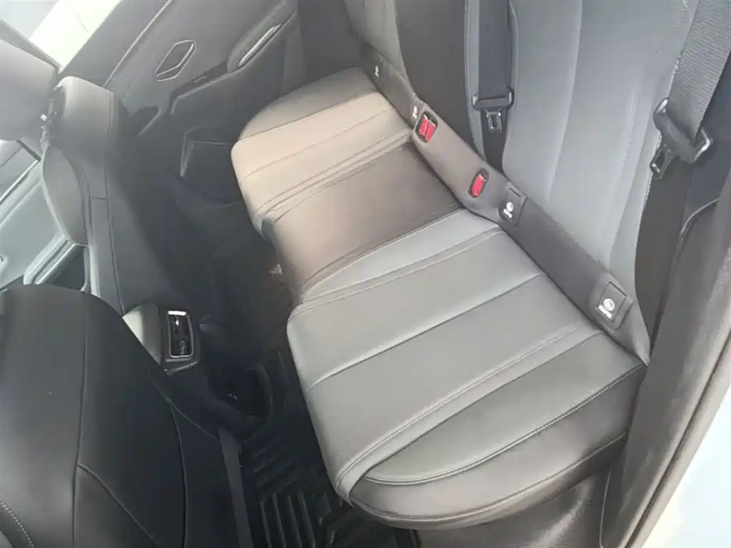 BYD Qin L 2024 DM-i 80KM Leading Edition фото 17