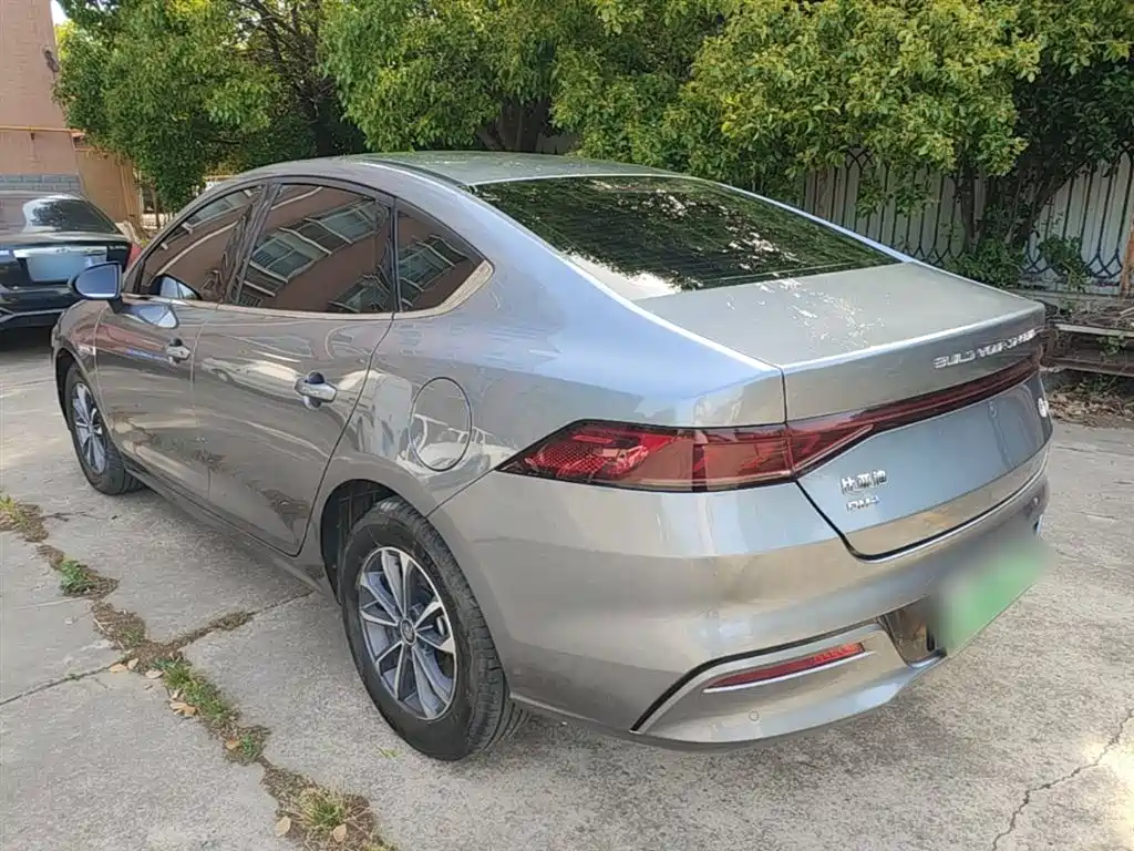 BYD Qin PLUS 2024 Glory Edition DM-i 55KM Leading фото 5