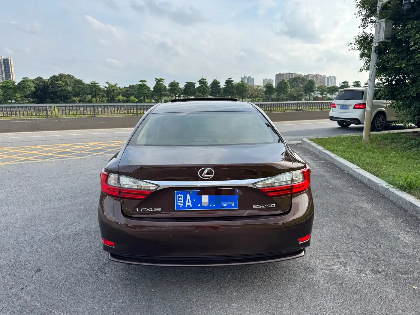 Lexus ES 2015 250 Elegance Edition фото 6