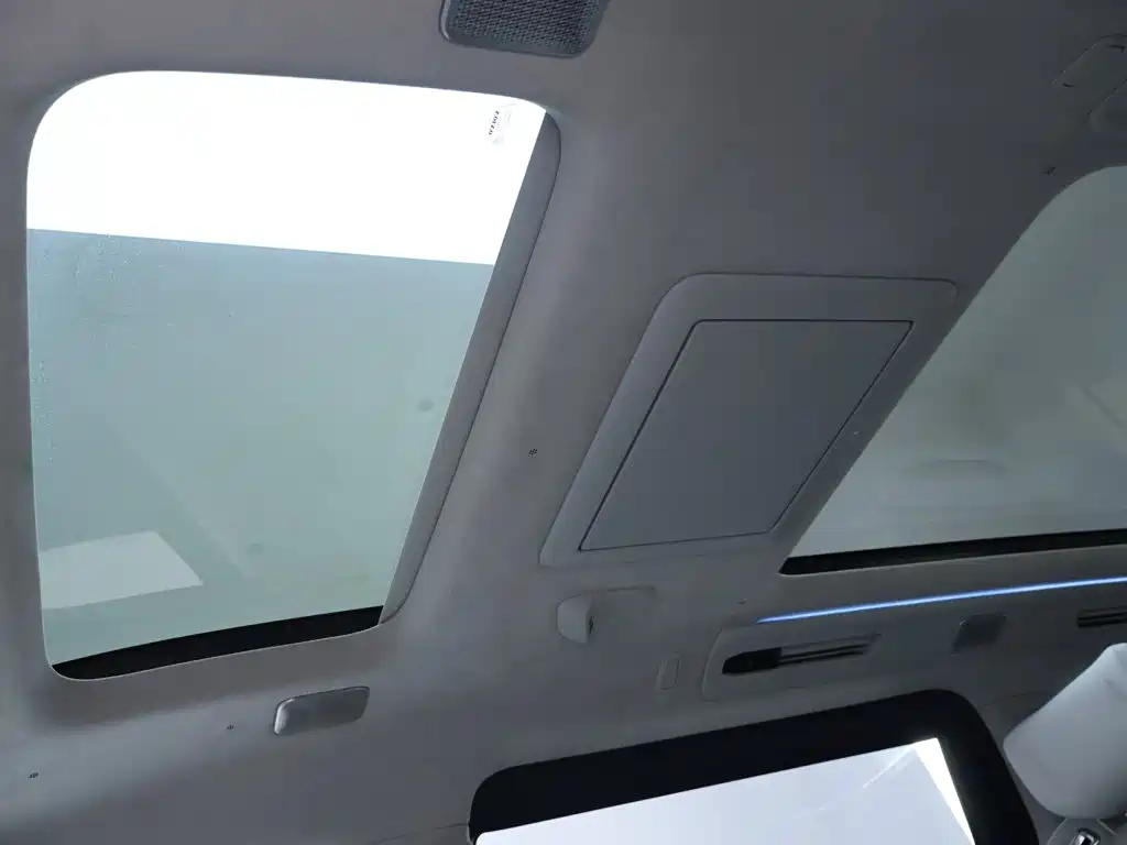 Volvo EM90 2024 2025 Ultra Six-Seater