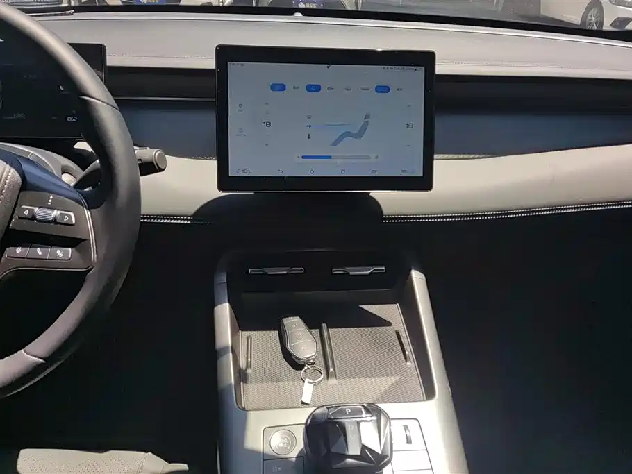 BYD Qin PLUS 2025 DM-i Smart Drive 55KM Leader фото 13