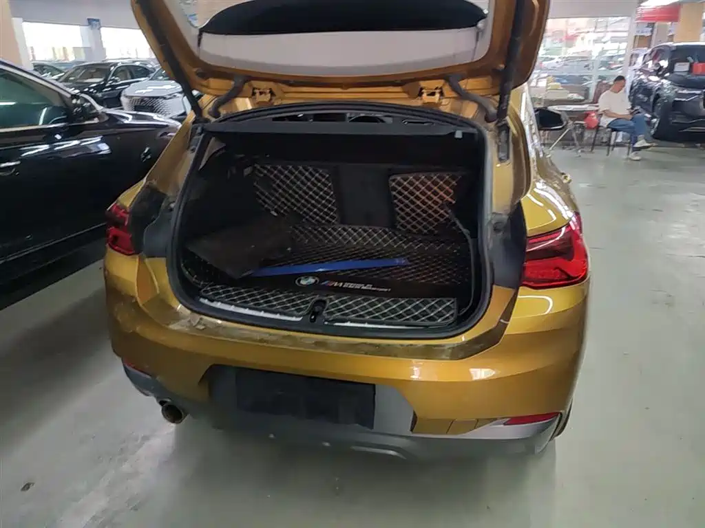BMW X2 (Import) 2019 sDrive20i M Off-Road Package China VI фото 19