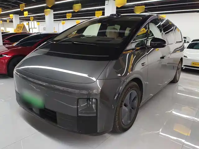 Li Auto MEGA Home, Семейная спецсерия