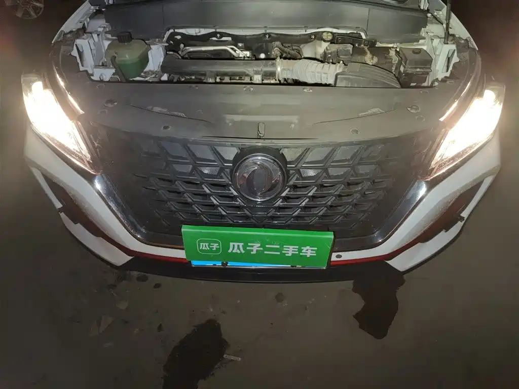 Dongfeng Fengguang Fengon 500 2021 2022 1.5L Manual Enjoyment Edition