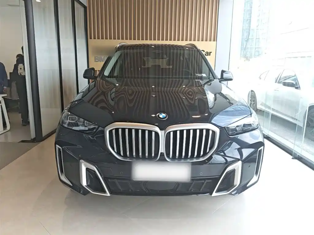 BMW X5 2023 xDrive 30Li Premium M Sport Package фото 3