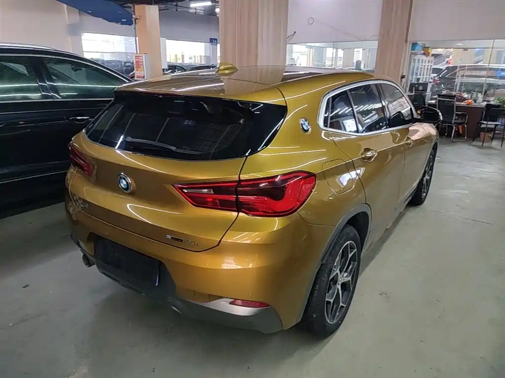 BMW X2 (Import) 2019 sDrive20i M Off-Road Package China VI фото 7