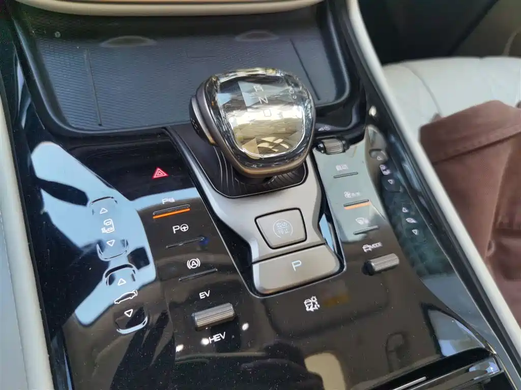 Denza D9 2022 DM-i 970 AWD Flagship фото 7