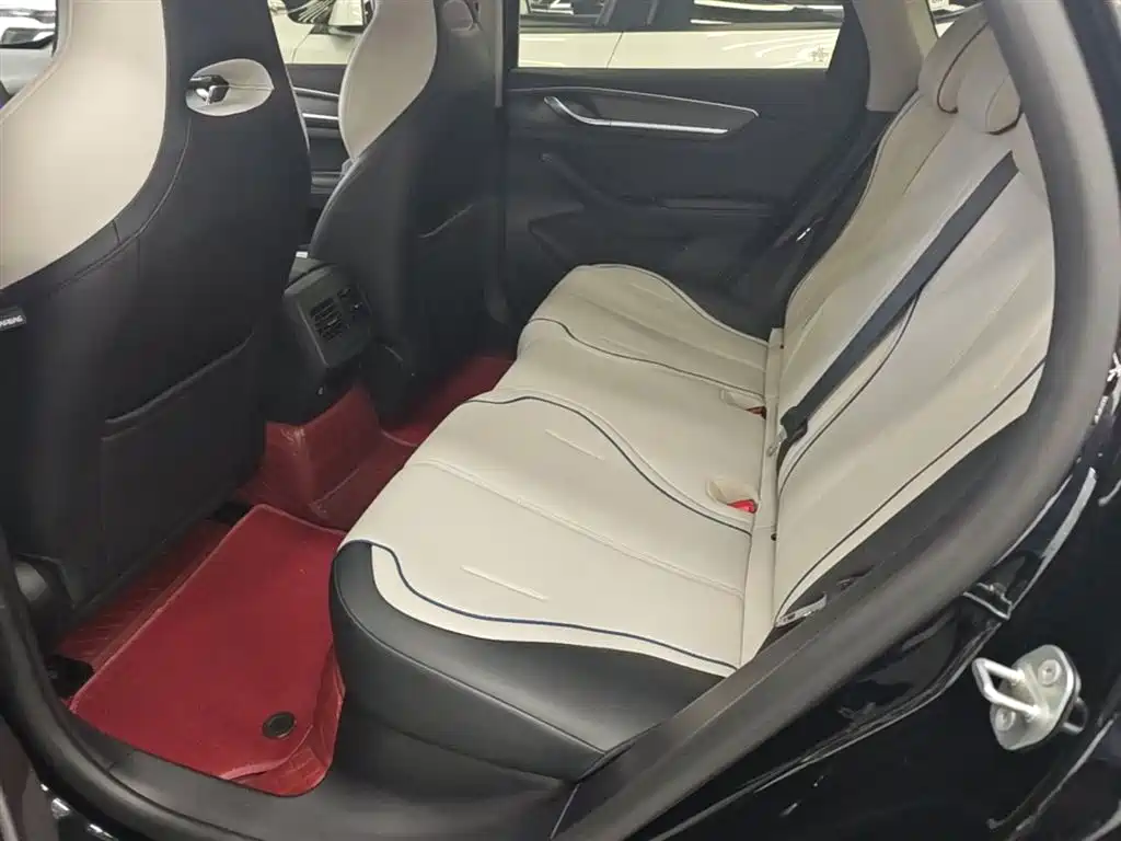 BYD Destroyer 05 2024 Glory Edition DM-i 120KM Luxury фото 17