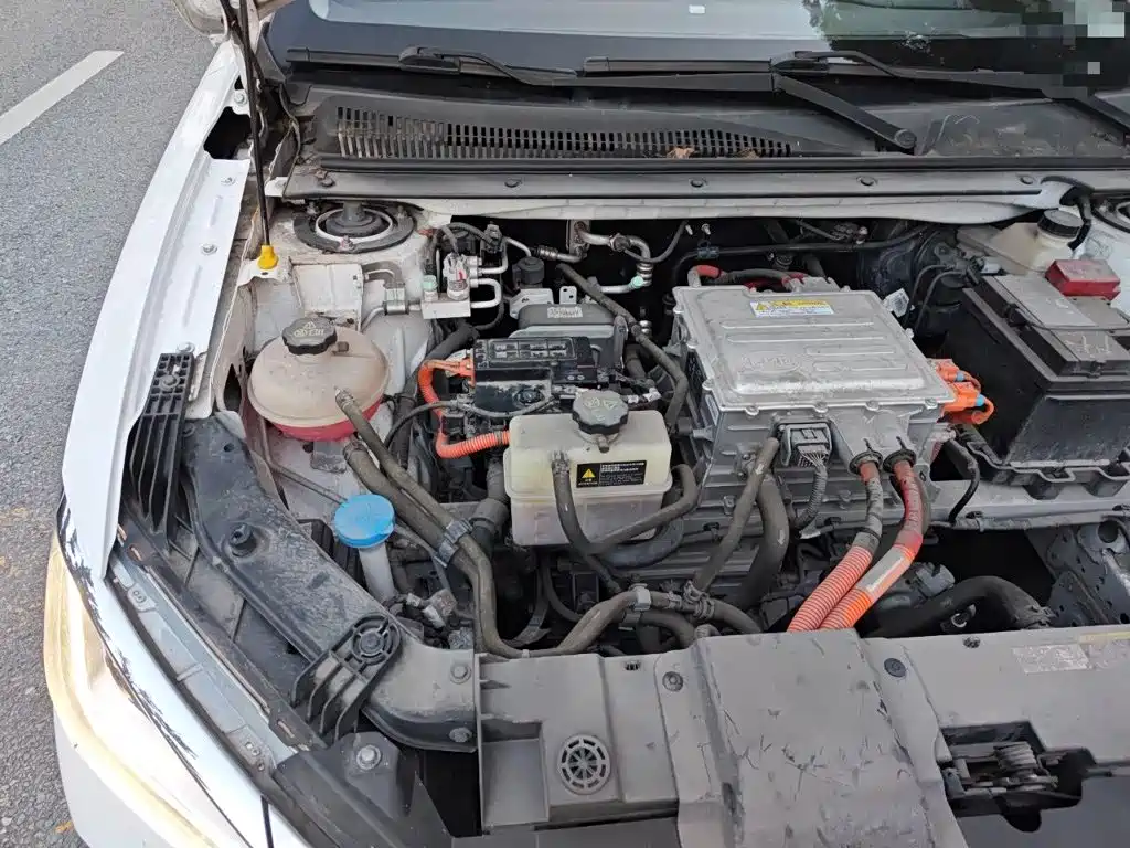 BYD e2 2021 2021 Luxury Edition