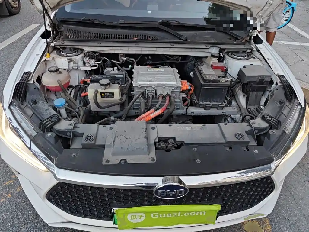 BYD e2 2021 2021 Luxury Edition