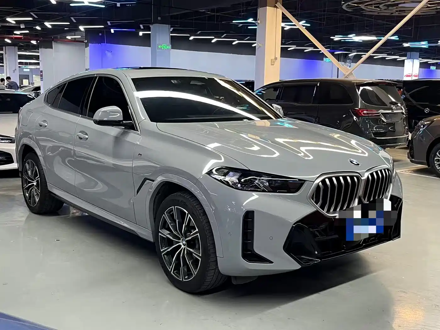 BMW X6