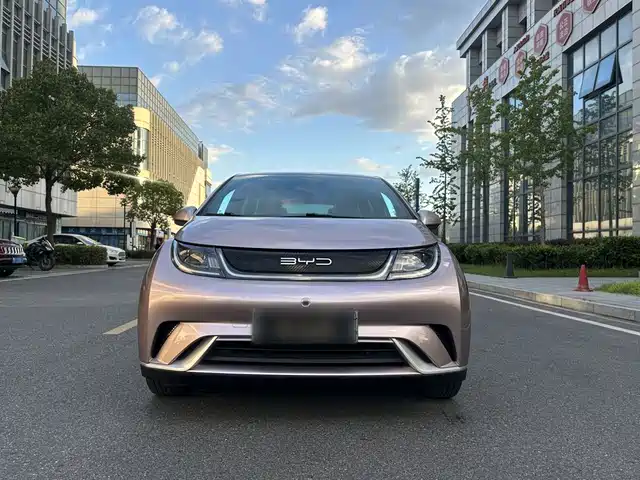  BYD Dolphin 2021 405km Freedom Edition