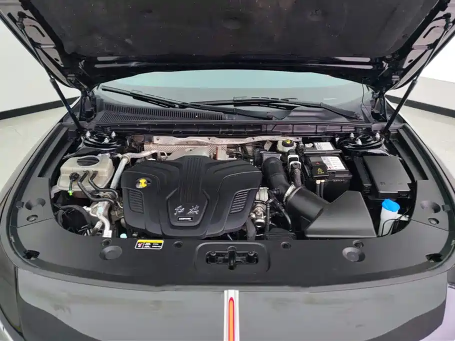 Hongqi H5 2024 2.0T Automatic Smart Connect Flag Enjoy Edition фото 10