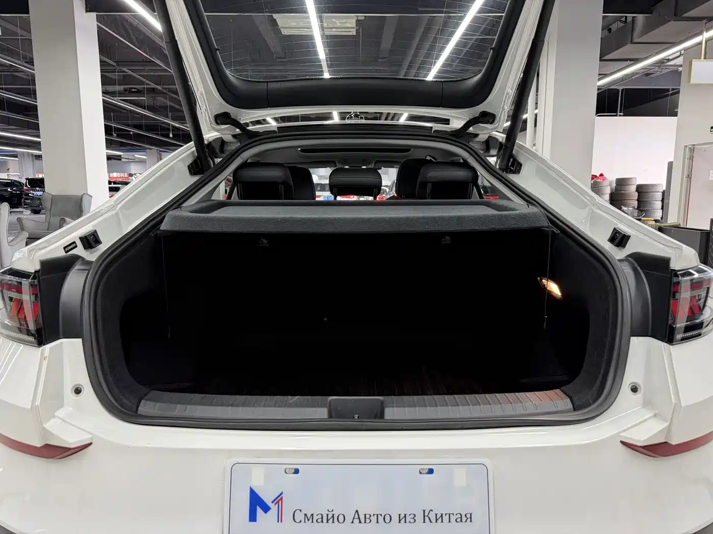 Volkswagen Lamando, миниатюра 10