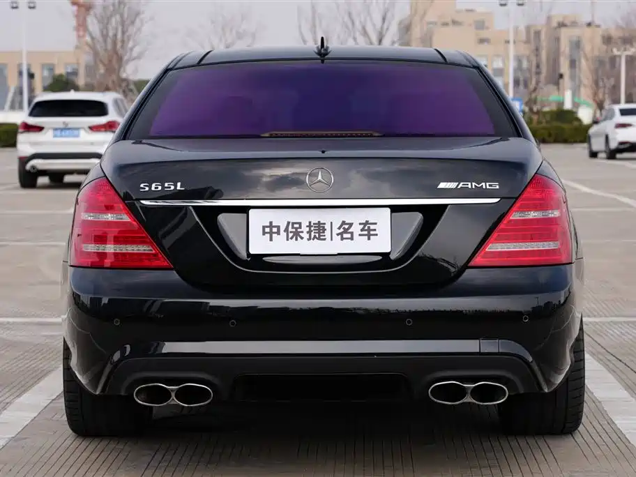 Mercedes-Benz S-Class 2010 S 600 L фото 29