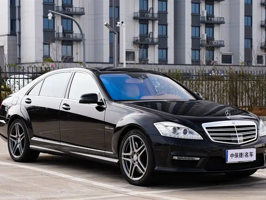 Mercedes-Benz S-Class 2010 S 600 L фото 2