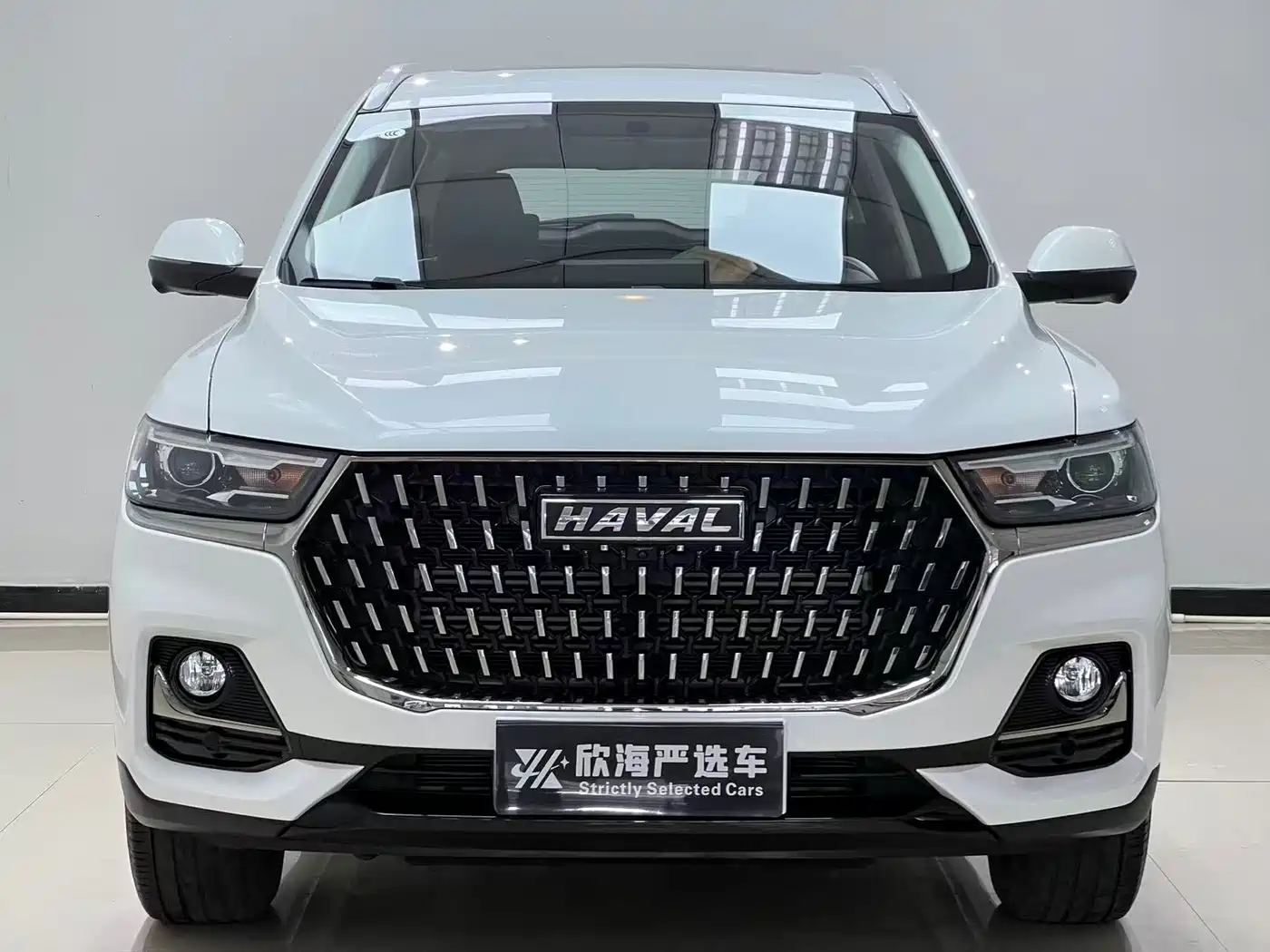 Haval H6 2023 National Trend Edition 1.5T Automatic Urban фото 2